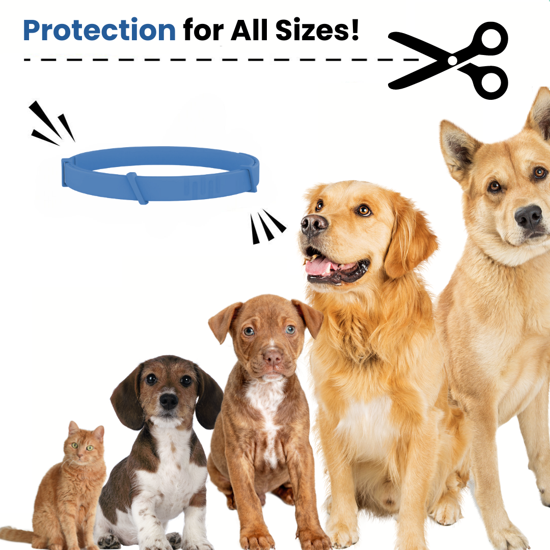 Pettares™ Tick & Flea Free Dog Collar