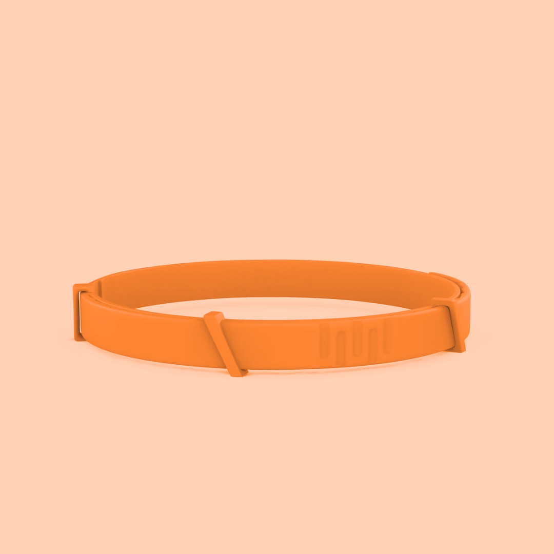 Pettares™ Tick & Flea Free Dog Collar