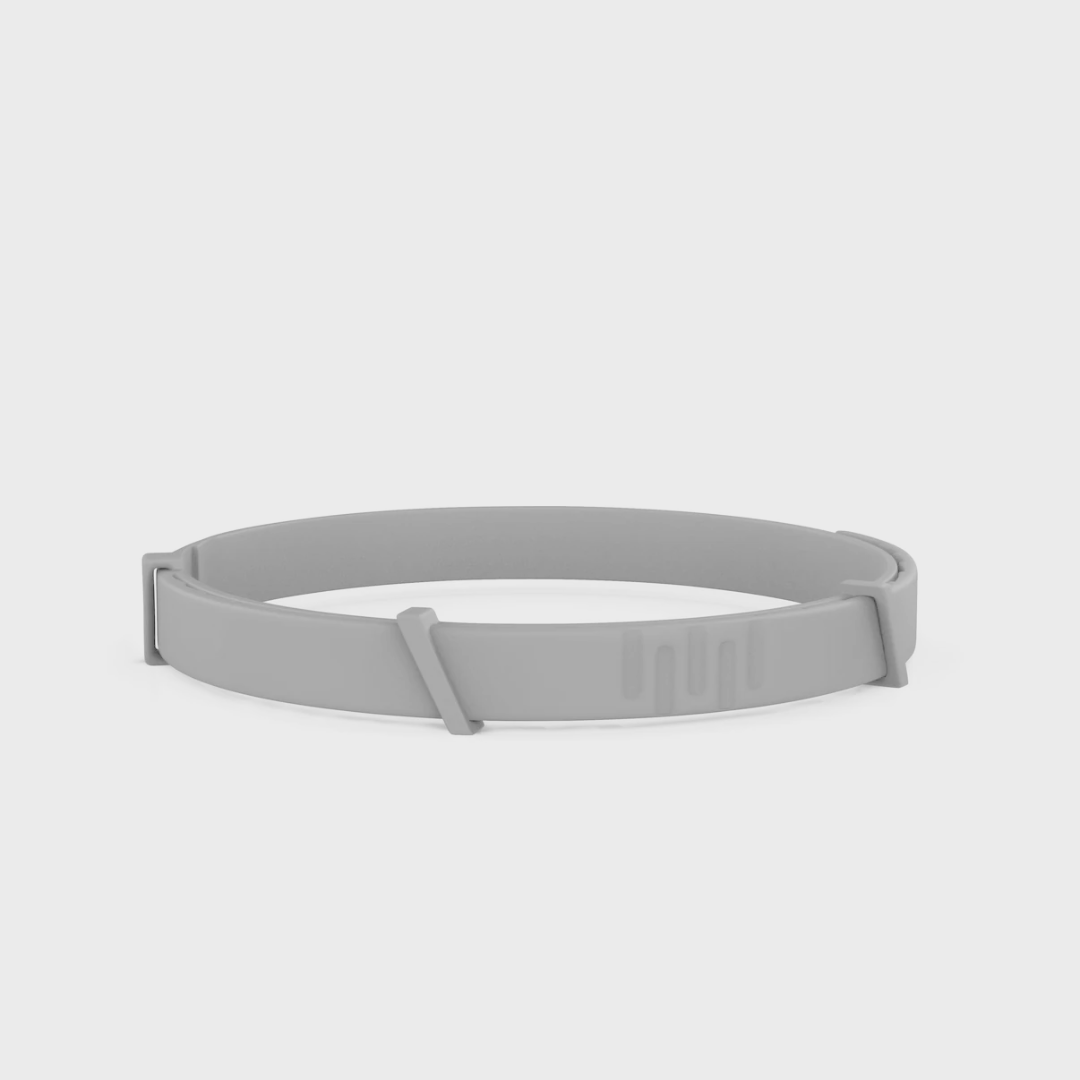 Pettares™ Tick & Flea Free Dog Collar