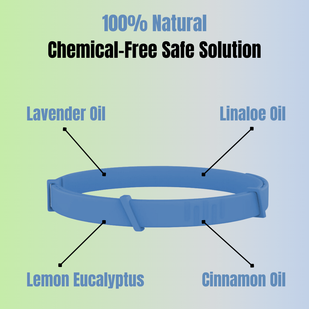 Pettares™ Tick & Flea Free Dog Collar