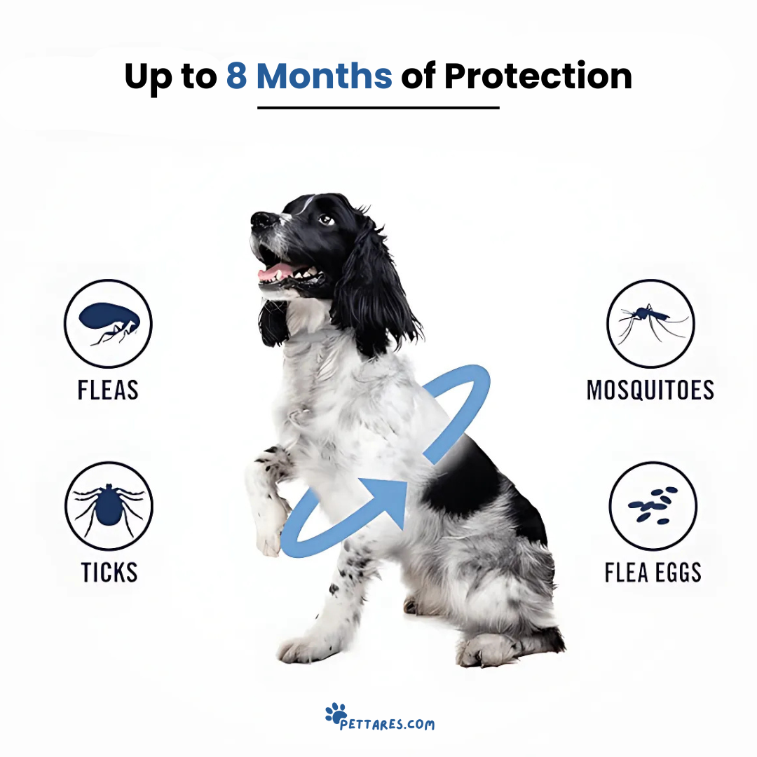 Pettares™ Tick & Flea Free Dog Collar
