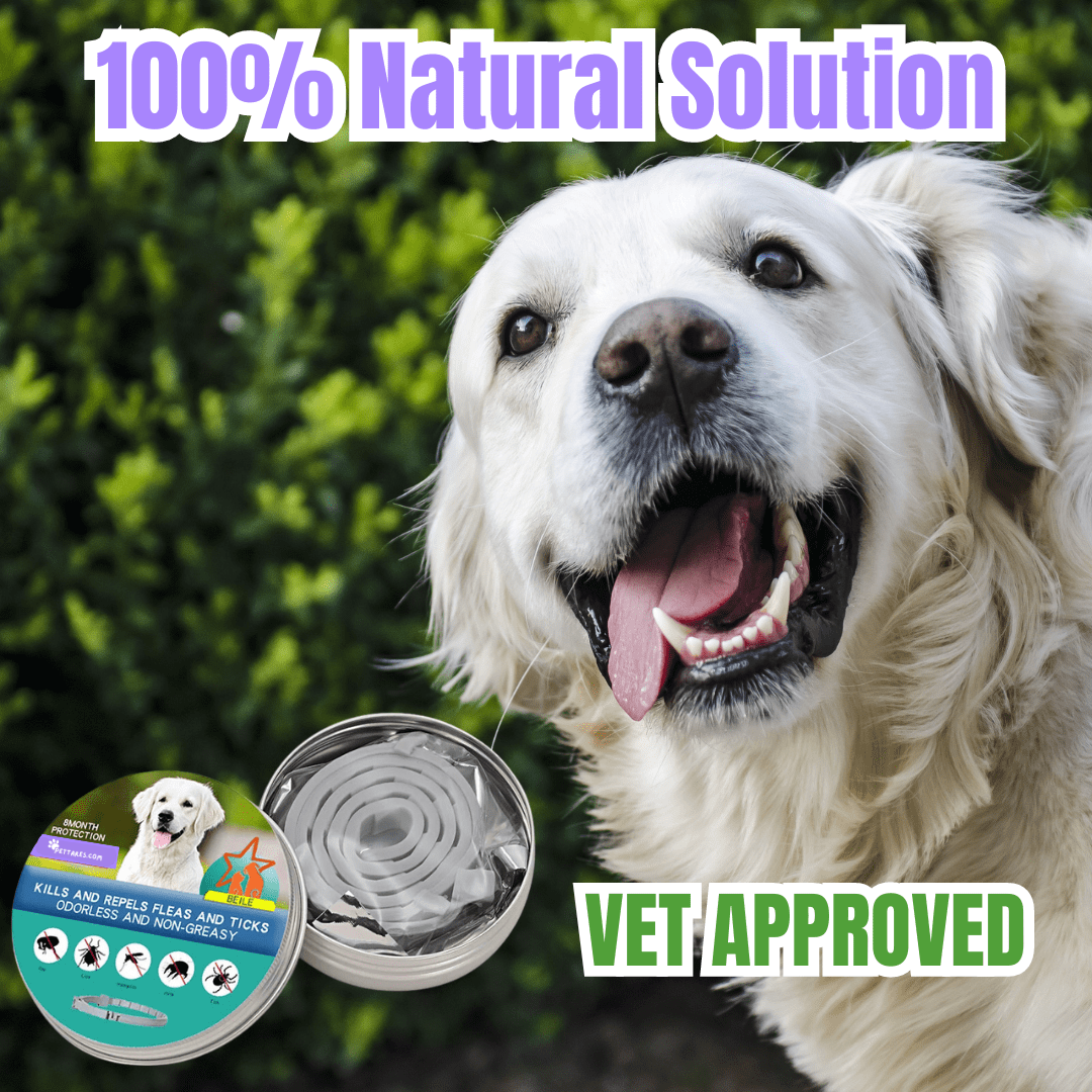 Pettares™ Tick & Flea Free Dog Collar