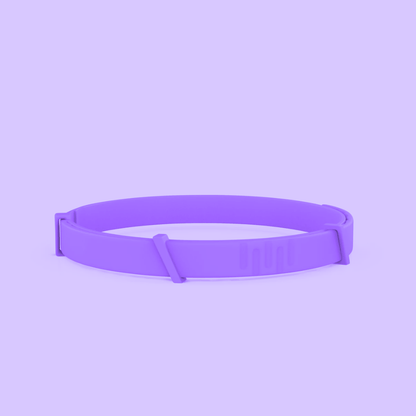 Pettares™ Tick & Flea Free Dog Collar