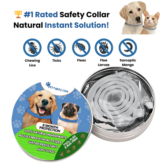 Pettares™ Tick & Flea Free Dog Collar