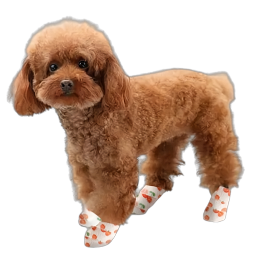 Pettares™ Dogs Bandage Shoe